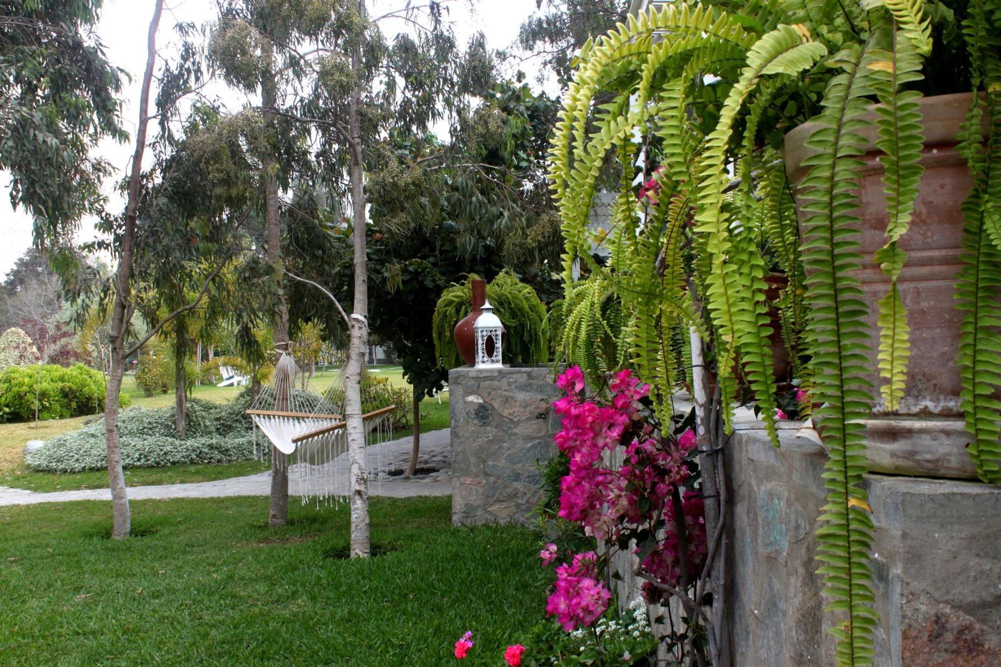 Hotel Los Palomos Lunahuaná المظهر الخارجي الصورة