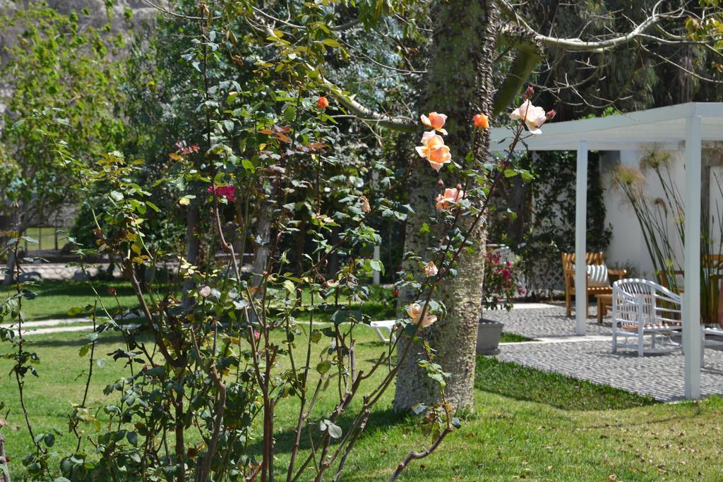 Hotel Los Palomos Lunahuaná المظهر الخارجي الصورة